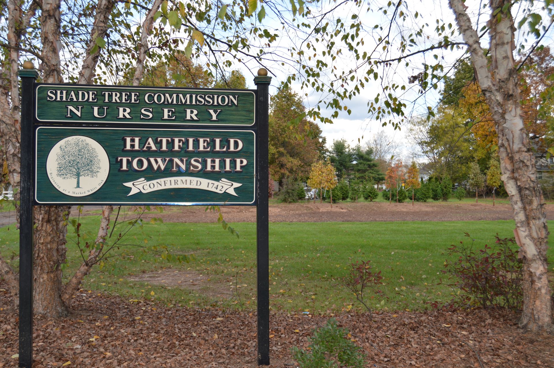 Shade Tree Commission Nursery