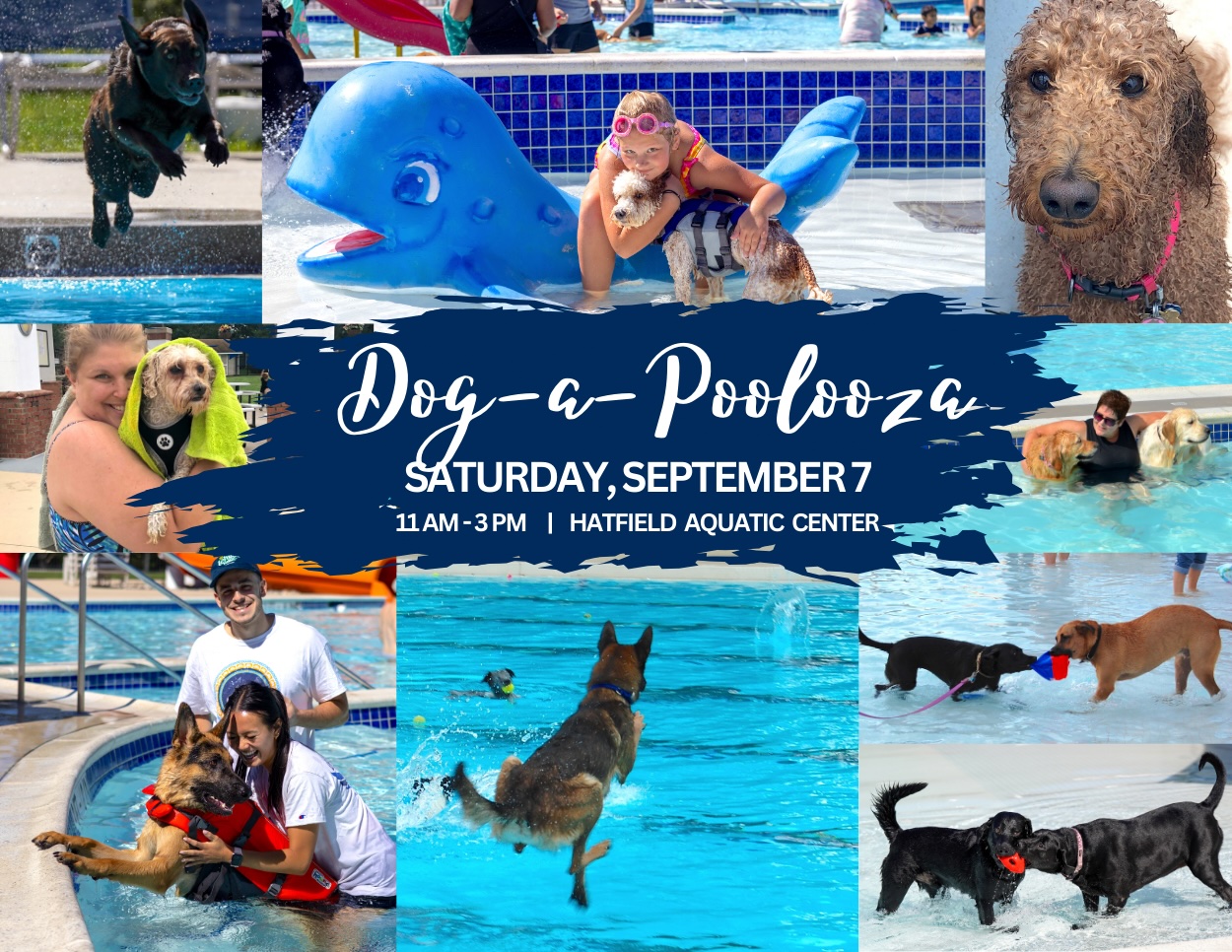 Dog-A-Poolooza